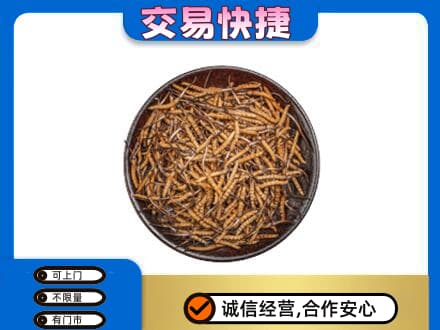 嘉兴高价回收散虫草